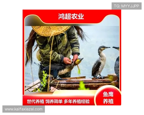 ag捕鱼技巧经验分享让你的捕鱼过程更加顺利愉快 ag捕鱼技巧经验分享让你的捕鱼过程更加顺利愉快