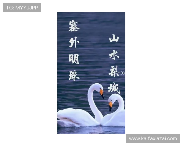 k8游戏平台官网官方公告与最新资讯,第一时间掌握平台动态与优惠信息 k8游戏平台官网官方公告与最新资讯,第一时间掌握平台动态与优惠信息